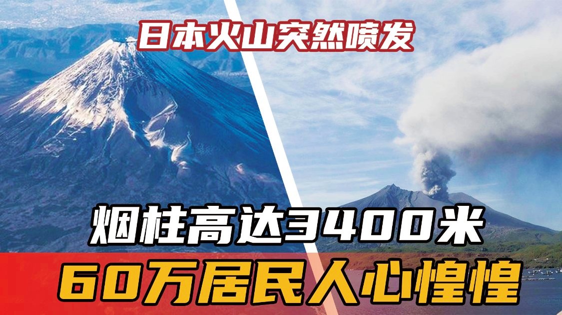 OP再创新高，飙升幅高达422%，还还值得跟进吗？，市场关注